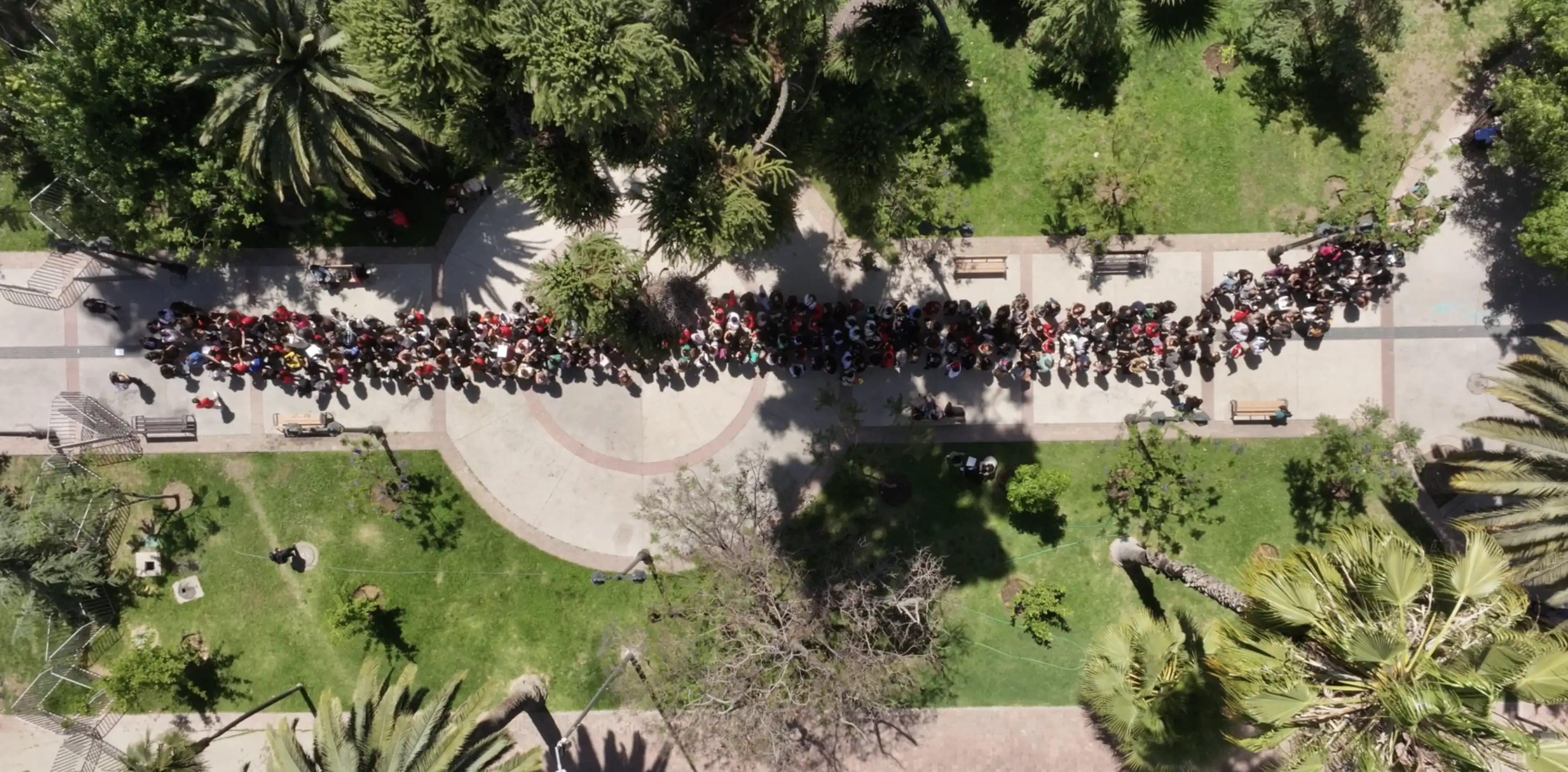 Reportería Plan de Acción